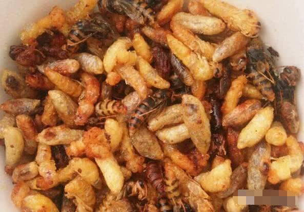 广西重口味黑暗料理，你吃过几样？看完真的给跪了！