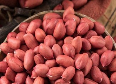 ​猫咪能吃花生米吗（宠物猫吃花生的作用）