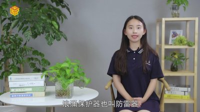 ​浪涌保护器的作用是什么