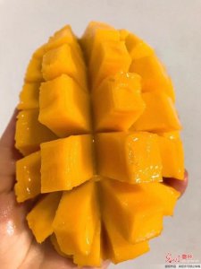 ​芒果是热性还是凉性(吃芒果会上火？芒果的一些小秘密你了解多少？)