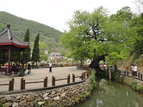 集文化观光、文化体验、健康养生、生态休闲的铜陵凤凰山风景区