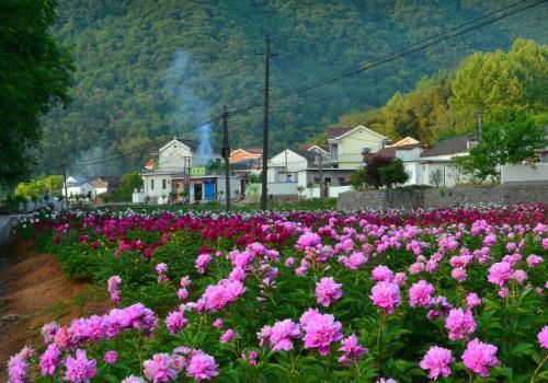 集文化观光、文化体验、健康养生、生态休闲的铜陵凤凰山风景区