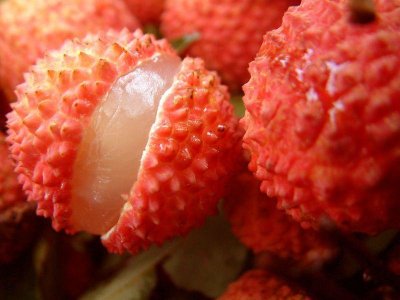 ​荔枝产地哪里最有名（全国最好吃的荔枝产地排行）