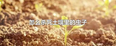 ​如何去除土壤里的虫子 怎么去除土壤里的虫子