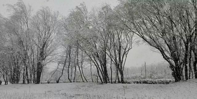 元曲四大悲剧有哪些(四大悲剧元曲大全)图1