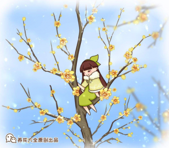 ​梅花和腊梅是一种花吗 凌霜而开的腊梅，居然不是梅花