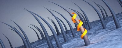 ​染发的化学反应原理 染发的基本原理