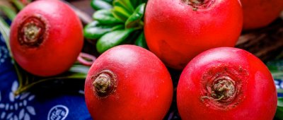 ​冬吃萝卜夏吃姜什么意思