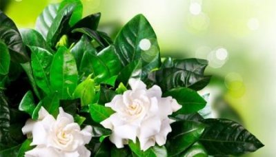 ​趣知识：换工作了社保怎么转移到新单位换了新单位如何转社保