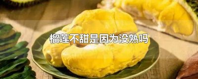 ​榴莲不甜是不是没熟 榴莲不糯不甜是没熟的原因吗