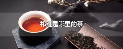 ​祁红是哪里的茶叶 祁红茶介绍