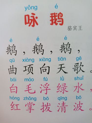 鹅鹅鹅古诗意思（鹅鹅鹅古诗全文）