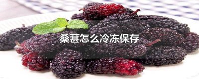 ​新鲜的桑葚能不能冷冻保存? 鲜桑葚可以冷冻保存吗