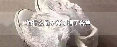 ​为什么鞋子洗了 晒干之后变黄了 鞋子晒黄能清洗回来吗