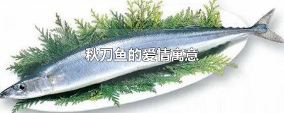 ​秋刀鱼的俗名 秋刀鱼出自哪里