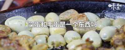 ​实蛋和皮蛋是一个东西吗 实蛋是什么东西