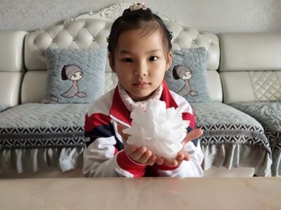 ​自制小白花制作方法（如何制作小白花）