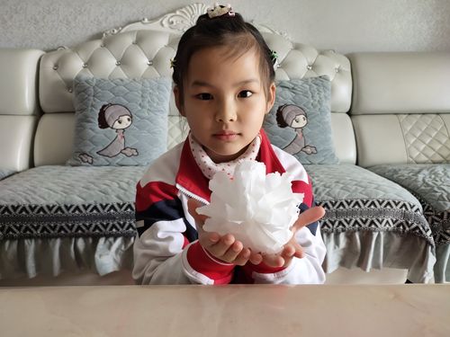 自制小白花制作方法（如何制作小白花）