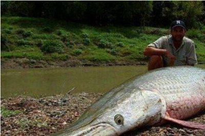 ​10种最恐怖的鱼