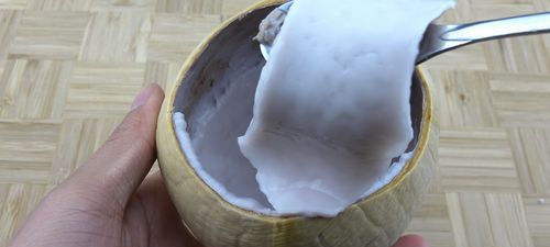 泰国香椰肉能吃吗