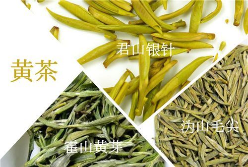 空山翠是什么茶