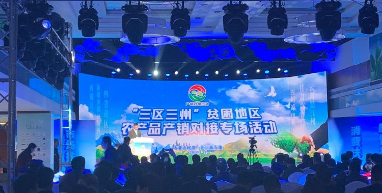 三区人才是哪三区