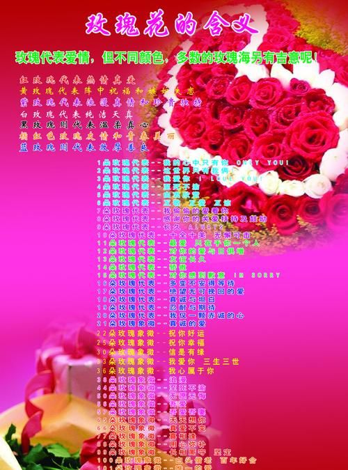 玫瑰花花语诗词