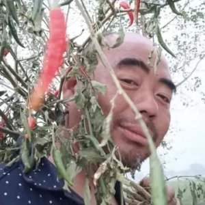 ​多重性格的农民鲁智深