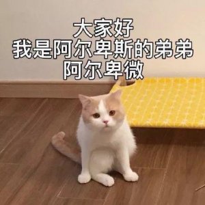 ​卑微表情包丨小委屈，我能忍