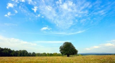 ​红塔山是哪里的烟,红塔山香烟是哪里产的