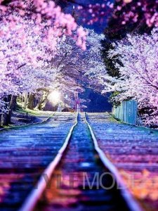 ​全球最适合女生独自旅行的十大目的地