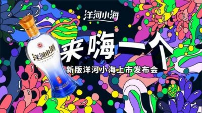 ​洋河酒厂小海(洋河小海酒h 6 42度)