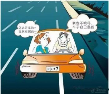 ​什么动物最没有方向感 哪种动物最没有方向感，