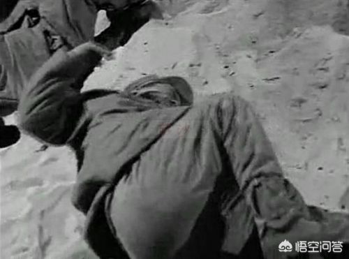 墨西哥外星人宝宝事件(1947年墨西哥外星人)-第1张图片-