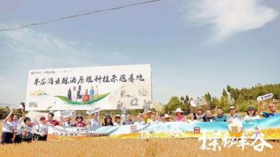 ​42度丰谷印象10 价格表(丰谷42度2000全部价格表)