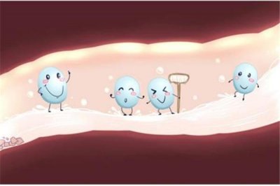 ​益生菌可以减肥吗 益生菌有什么作用和功效