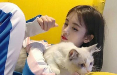 ​喜欢猫的女生什么性格？怎么追喜欢猫的女生