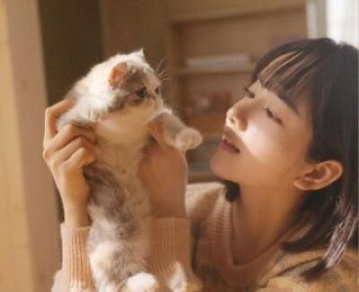 喜欢猫的女生比较敏感