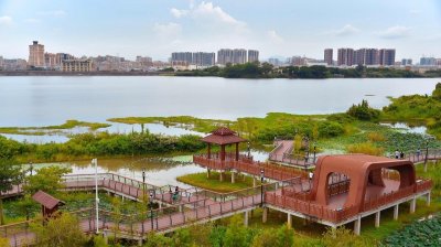 ​深圳公园之——立新湖水库