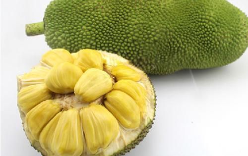 菠萝蜜太熟了可以吃吗