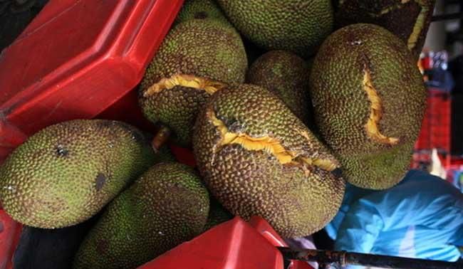 菠萝蜜切开后的果肉颜色不是金黄色能吃吗