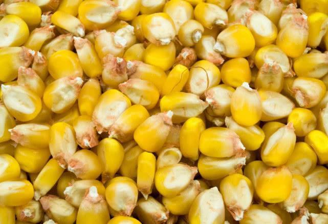 不要只吃煮玉米了，老玉米还有这2种做法，2分钟学会，简单到家