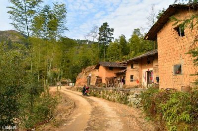 ​竹鼠养殖是不是骗局？如何避免盲目跟风血本无归？