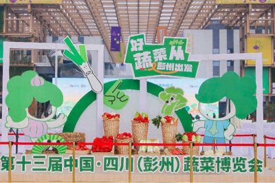 ​垂直种植、气雾栽培、鱼菜共生……今年菜博会尽显“科技范”