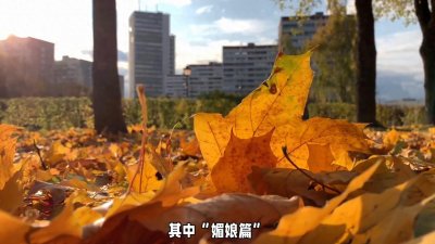 ​隐形守护者团队新作。