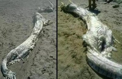 ​中国十大怪谈