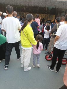 ​改造后的武汉动物园，太让人失望了！