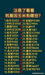 ​终于有人把转基因玉米，整理出来了，看看有哪些？