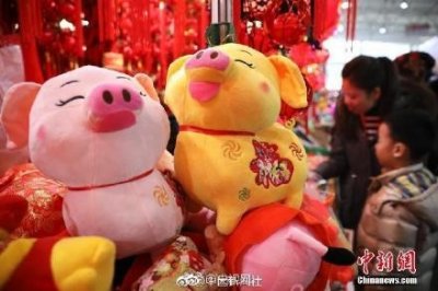 ​2019猪年是“寡妇年”？专家：无稽之谈