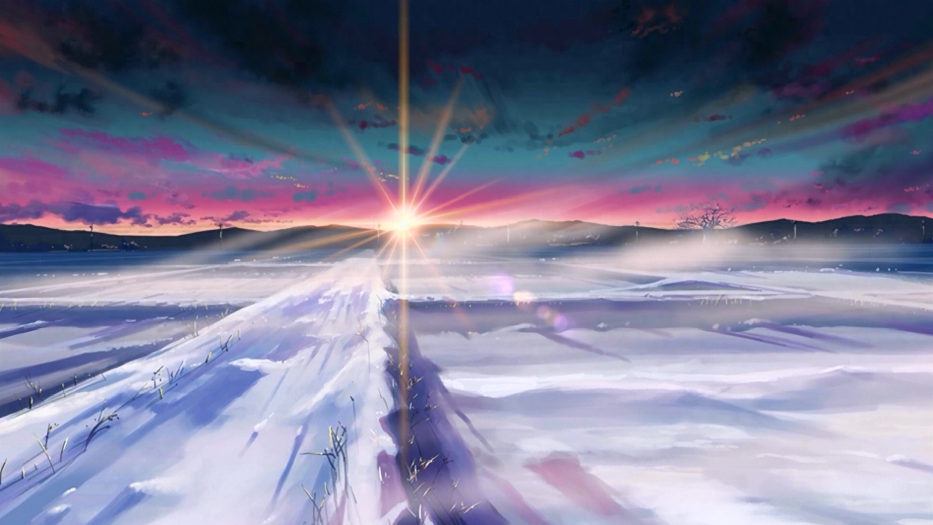 新海诚，秒速五厘米の精美壁纸